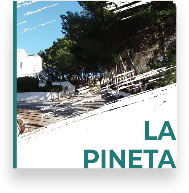 struttura la pineta